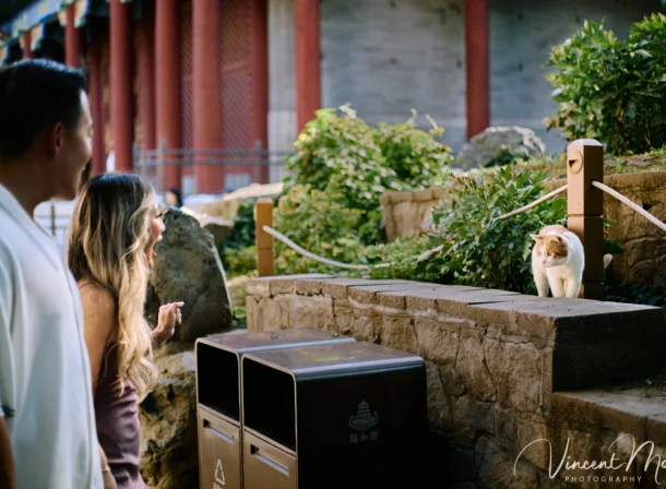 Couple enjoying a romantic moment at the Garden of Harmonious Interests in Beijing's Summer Palace, surrounded by traditional Chinese garden scenery with lakes and pavilions. Engagement shooting in summer palace.