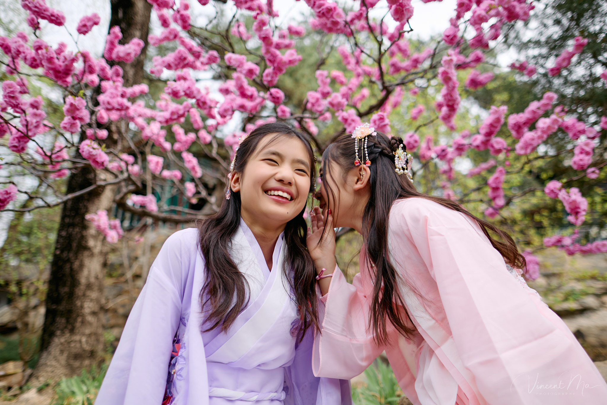 Mother and daughter in pink Hanfu costumes playing with traditional fans under blooming spring peach blossoms at the Summer Palace.