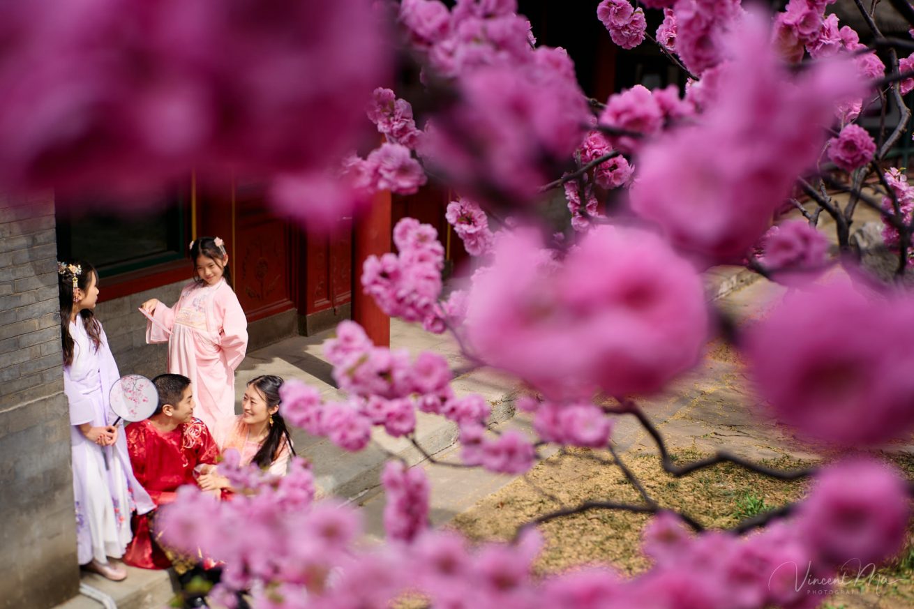Mother and daughter in pink Hanfu costumes playing with traditional fans under blooming spring peach blossoms at the Summer Palace.