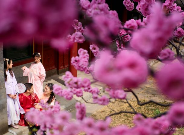 Mother and daughter in pink Hanfu costumes playing with traditional fans under blooming spring peach blossoms at the Summer Palace.