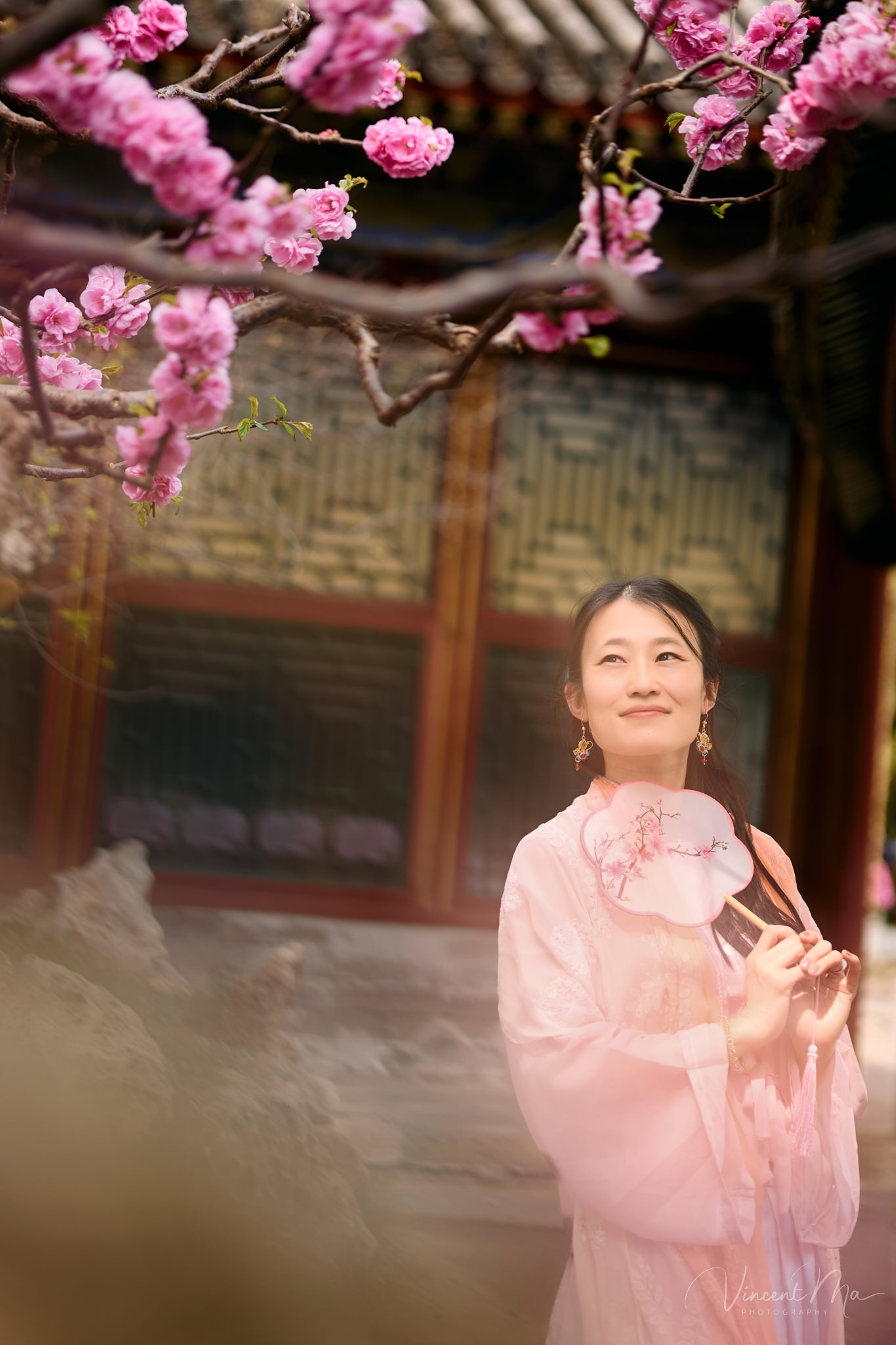 American couple in red and pink traditional Chinese clothing framed by delicate apricot blossoms during a Beijing spring photoshoot.