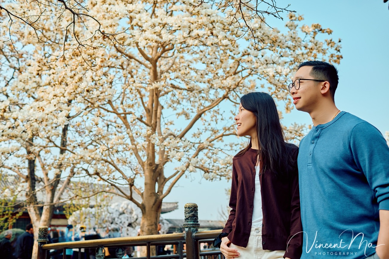 Engaged American couple walking through blooming cherry blossoms and pink mountain peaches at the Summer Palace. High-end cinematic beijing photoshoot experience.
