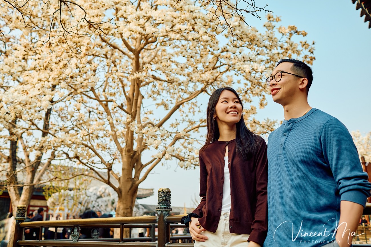 Engaged American couple walking through blooming cherry blossoms and Magnolia at the Summer Palace. High-end cinematic beijing photoshoot experience.