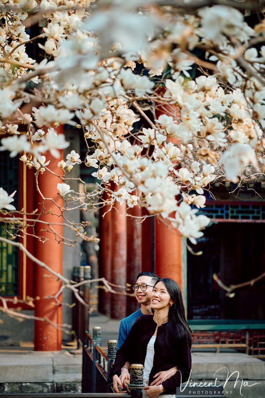 Engaged American couple walking through blooming cherry blossoms and pink mountain peaches at the Summer Palace. High-end cinematic beijing photoshoot experience.