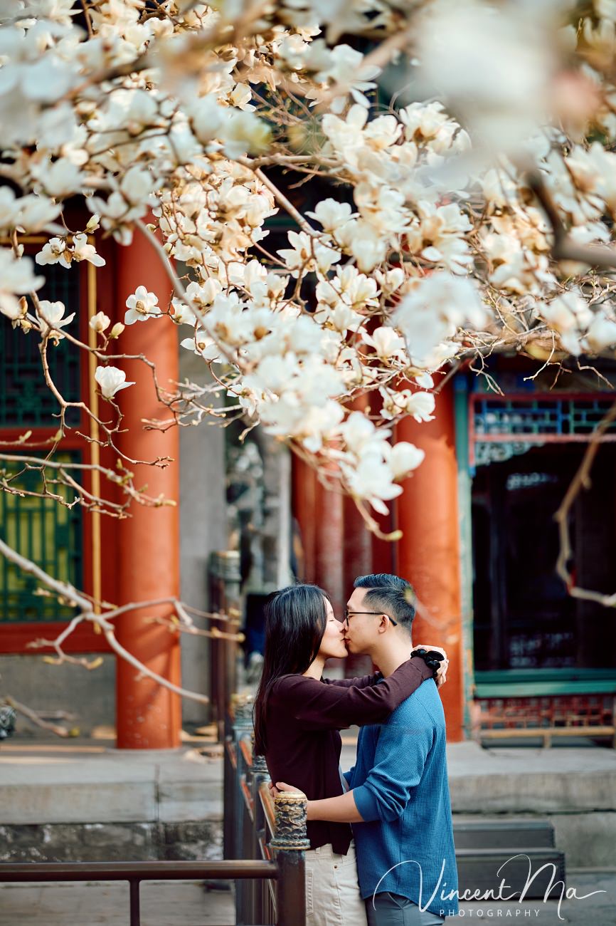 Engaged American couple walking through blooming cherry blossoms and pink mountain peaches at the Summer Palace. High-end cinematic beijing photoshoot experience.