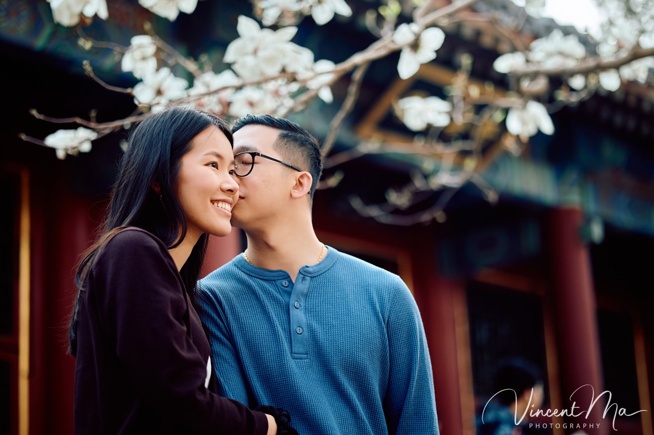 Engaged American couple walking through blooming cherry blossoms and Magnolia at the Summer Palace. High-end cinematic beijing photoshoot experience.