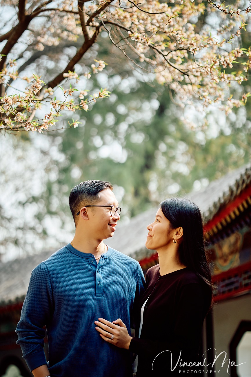 Engaged American couple walking through blooming cherry blossoms and Magnolia at the Summer Palace. High-end cinematic beijing photoshoot experience.
