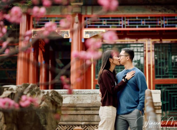 Engaged American couple walking through blooming cherry blossoms and Magnolia at the Summer Palace. High-end cinematic beijing photoshoot experience.