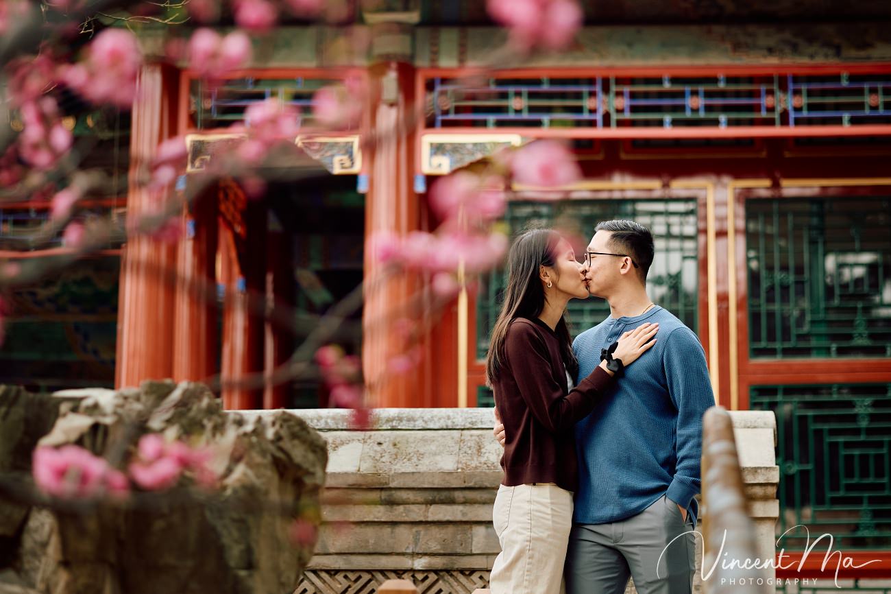 Engaged American couple walking through blooming cherry blossoms and Magnolia at the Summer Palace. High-end cinematic beijing photoshoot experience.