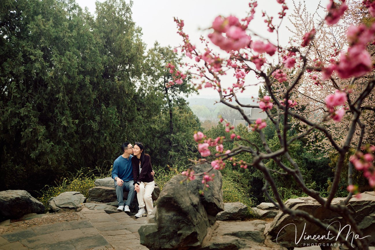 Engaged American couple walking through blooming cherry blossoms and Magnolia at the Summer Palace. High-end cinematic beijing photoshoot experience.