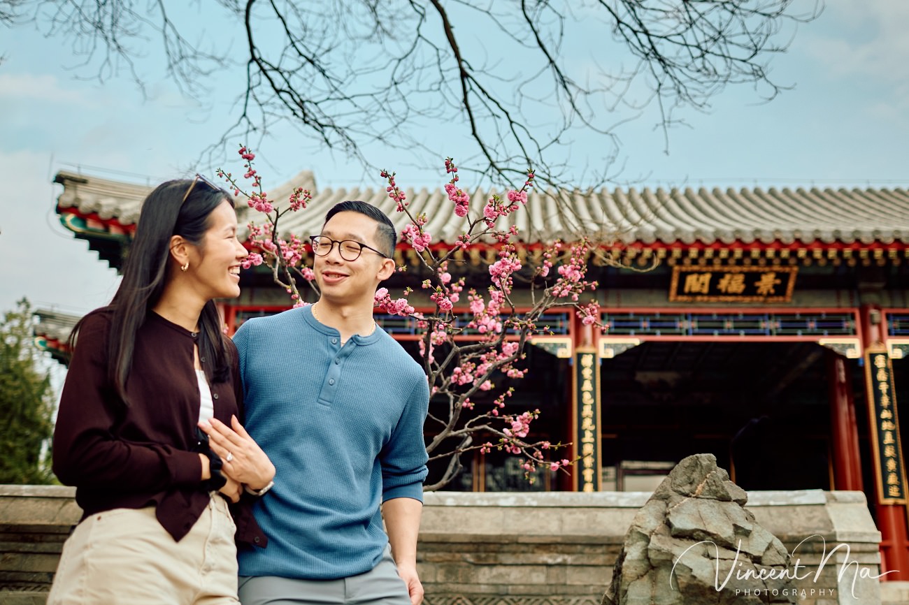 Engaged American couple walking through blooming cherry blossoms and Magnolia at the Summer Palace. High-end cinematic beijing photoshoot experience.