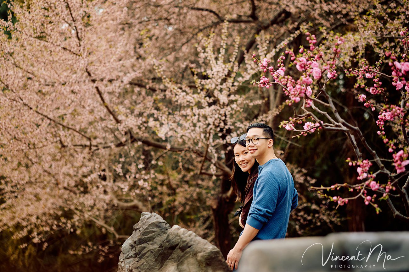 Engaged American couple walking through blooming cherry blossoms and Magnolia at the Summer Palace. High-end cinematic beijing photoshoot experience.