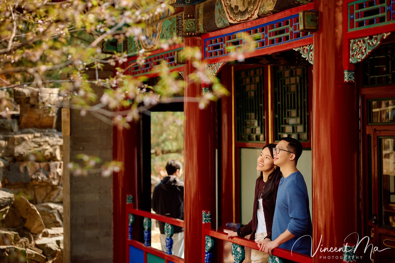 A cinematic capture of a secret proposal at the Summer Palace, Beijing. The couple is framed by blooming cherry blossoms and magnolias with the Tower of Buddhist Incense in the background. Professional photography by Vincent Ma for an American couple's first trip to China.